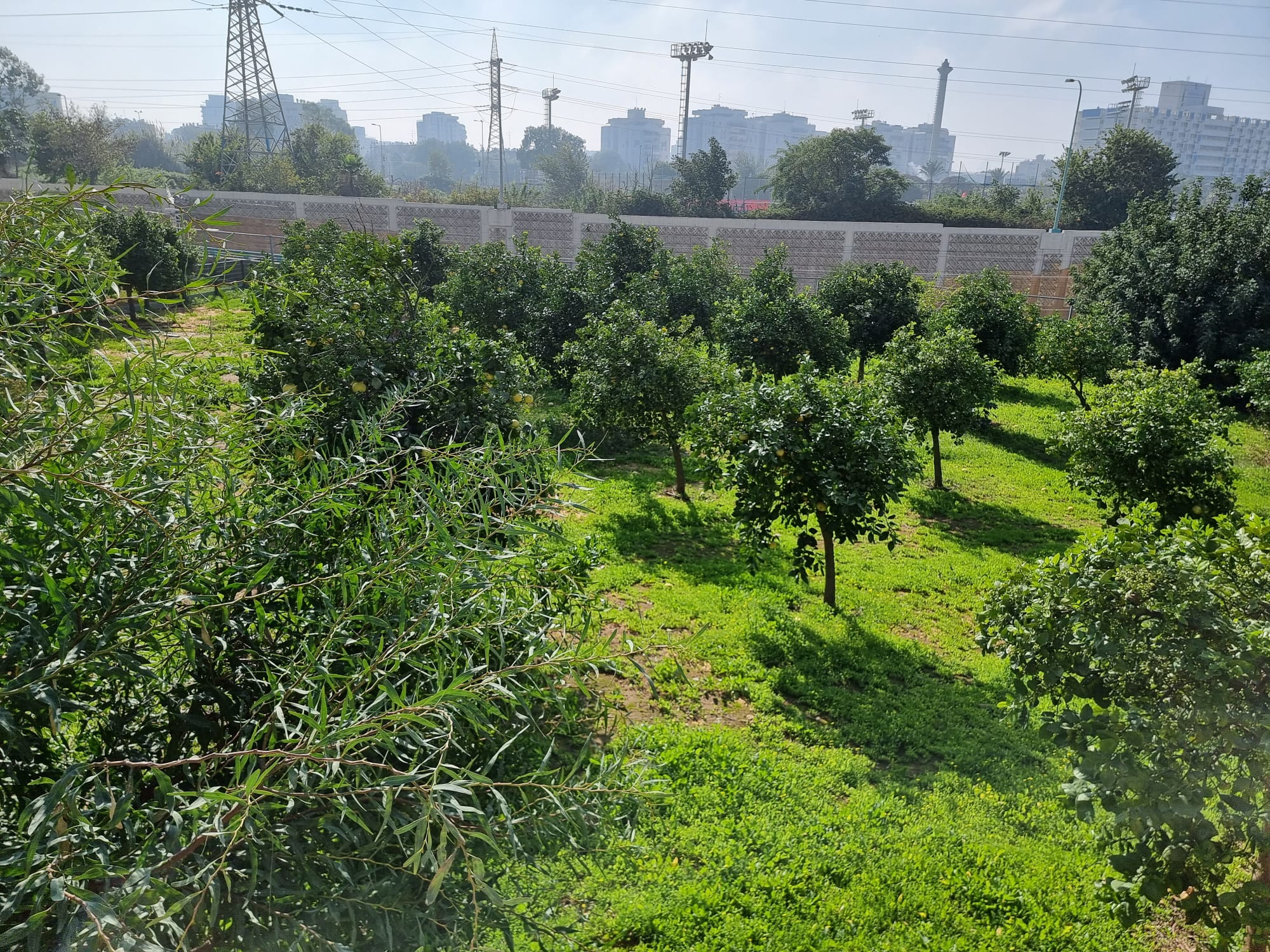 WhatsApp Image 2022-01-08 at 1.30.02 PM (2).jpeg